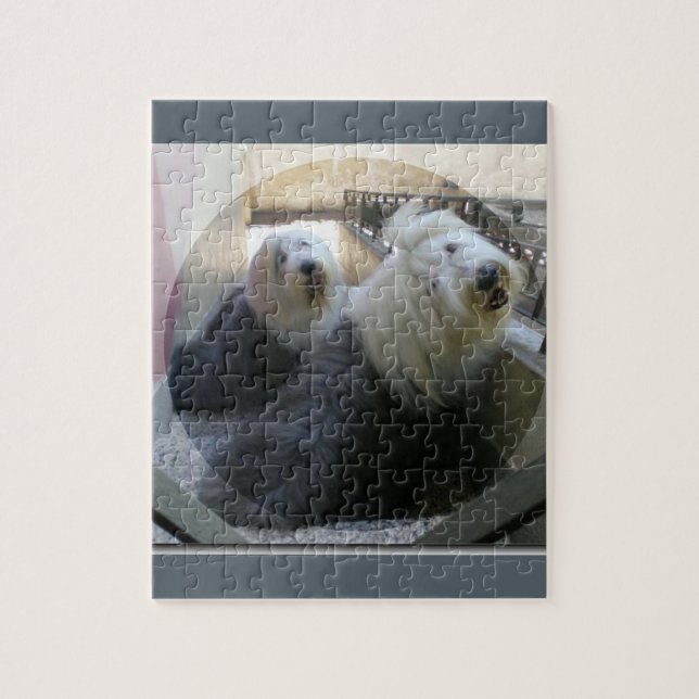 Puzzle 2 antiguos perros de pastor inglés (Vertical)
