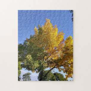 Puzzle 2 árbol de tono
