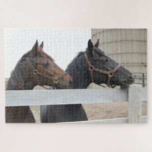 Puzzle 2 caballos cortos mirando la cerca