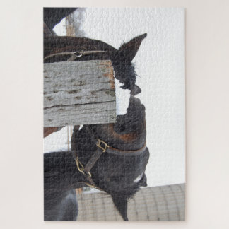 Puzzle 2 caballos masticando en un puesto de cerca