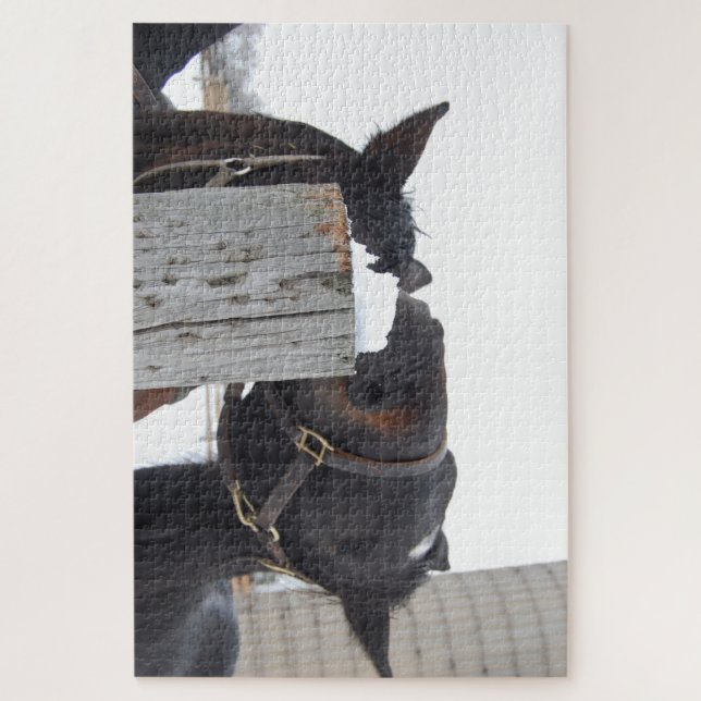 Puzzle 2 caballos masticando en un puesto de cerca (Vertical)