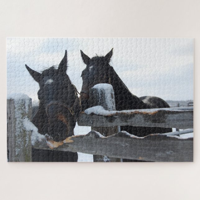 Puzzle 2 caballos masticando una cerca (Horizontal)