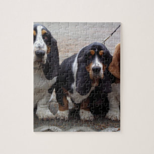 Puzzle 3 cachorros de Basset_hound