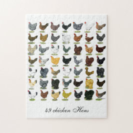 Puzzle 49 gallinas del pollo