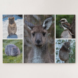 Puzzle 5 en 1 Animales de Australia, 1014 piezas