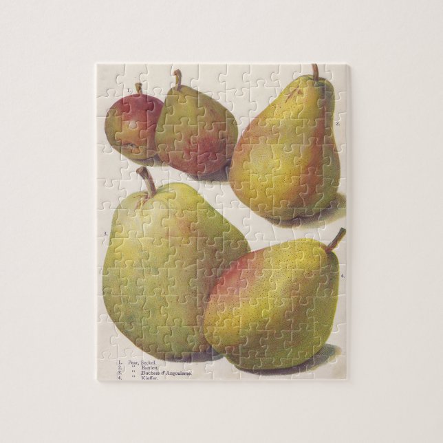 Puzzle 5 peras vintage ilustradas (Vertical)