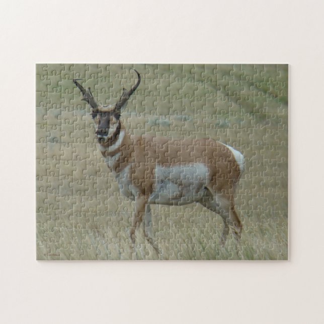Puzzle A33 Hornos Crocidos de Antelope Pronghorn (Horizontal)