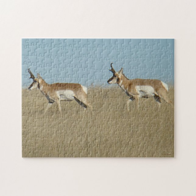 Puzzle A45 Cúmulos de Antelope Pronghorn (Horizontal)