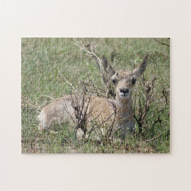 Puzzle A7 Baby Pronghorn Antelope (Horizontal)