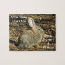 A Somebunny le encanta Adorable Bunny Photo Animal