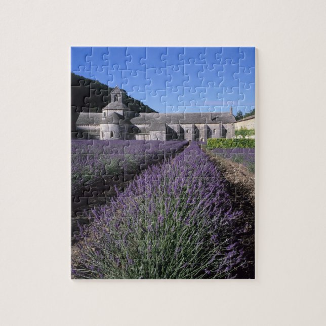 Puzzle Abadía Senanque, Gordes, Vaucluse, Provenza, (Vertical)