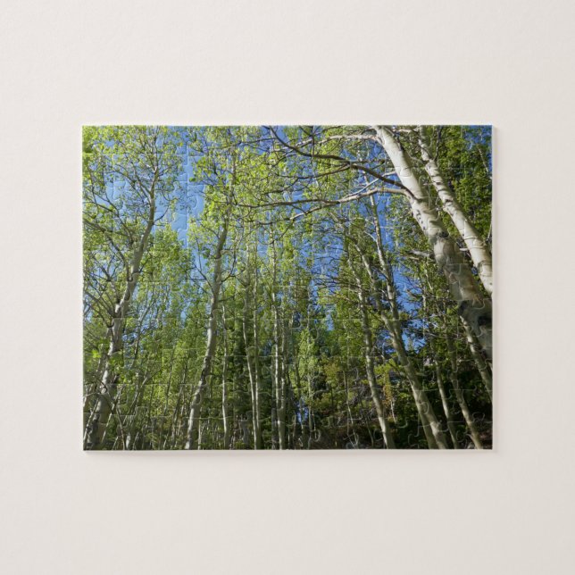 Puzzle Abedules de verano en Rocky Mountain (Horizontal)