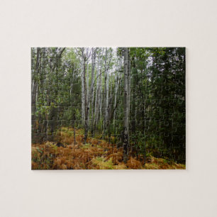 Puzzle Abedules y Helechos de Otoño en Rocky Mountain