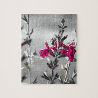 Puzzle Abeja blanco y negro