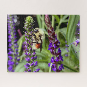 Puzzle Abeja central con florida planta de Speedwell