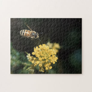 Puzzle abeja de la miel