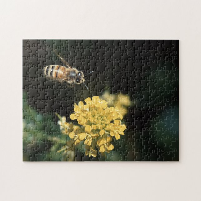 Puzzle abeja de la miel (Horizontal)