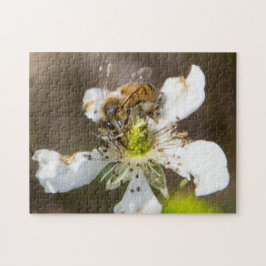 Puzzle Abeja de la miel