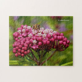 Puzzle Abeja de miel en Narrowleaf Milkweed