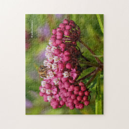 Puzzle Abeja de miel en Narrowleaf Milkweed