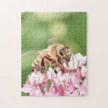 Abeja en flor