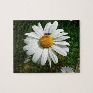 Puzzle Abeja en Margarita Foto de Verano en la Naturaleza