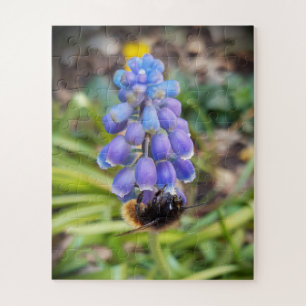 Puzzle Abeja en Muscari Armeniacum , Hiacinato de uva