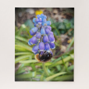 Puzzle Abeja en Muscari Armeniacum , Hiacinato de uva