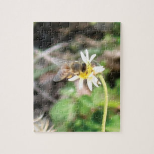 Puzzle Abeja Melífera Polinizando en Foto de Flor de Marg