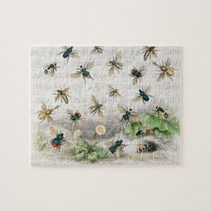 Puzzle Abeja Reina Entomología Botánica Vintage