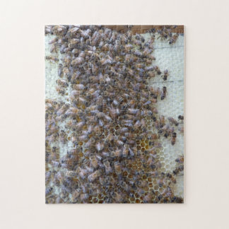 Puzzle ¡Abejas, abejas!  ¿Dónde está la abeja reina?