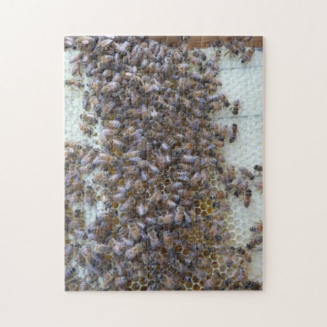 Puzzle ¡Abejas, abejas!  ¿Dónde está la abeja reina? (Vertical)