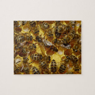 Puzzle Abejas de la miel en colmena con la reina en