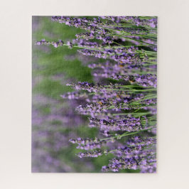 Puzzle Abejas de miel en flores de lavanda