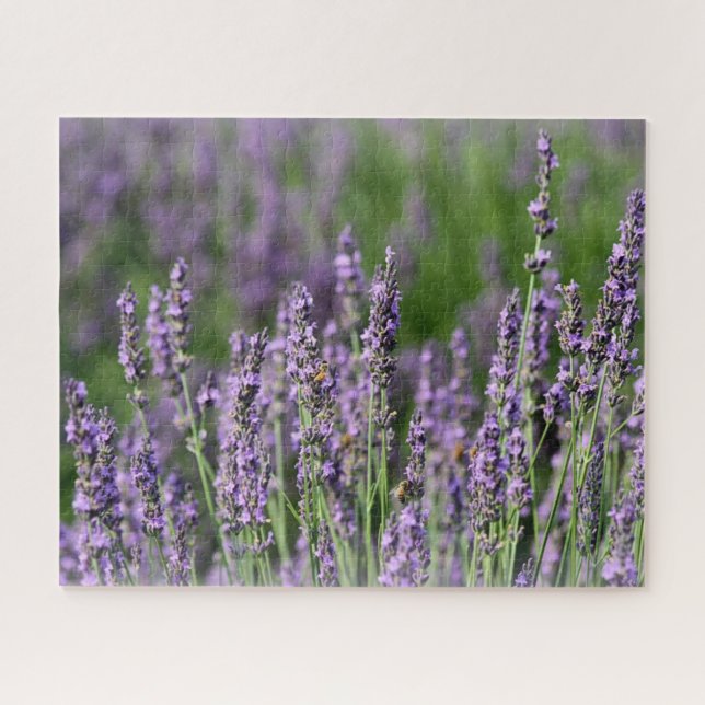 Puzzle Abejas de miel en flores de lavanda (Horizontal)