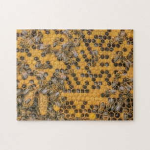 Puzzle Abejas de miel y células de reina en Beehive   api