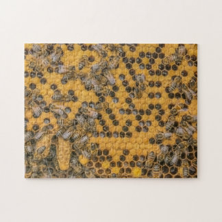 Puzzle Abejas de miel y células de reina en Beehive | api
