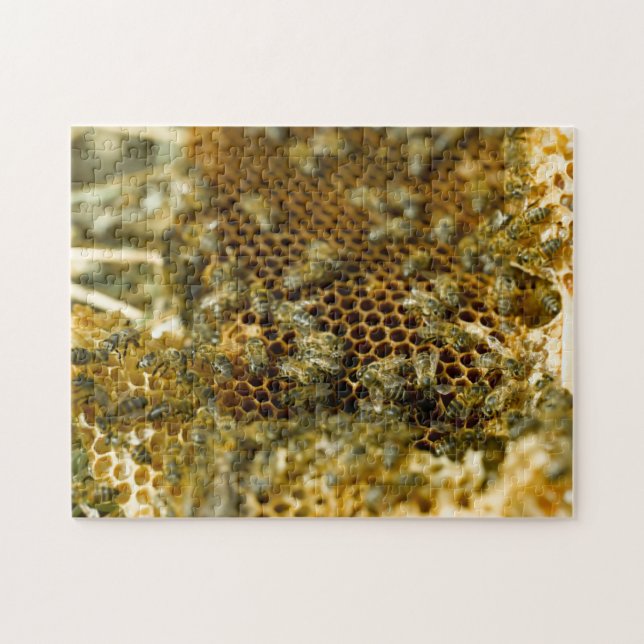Puzzle Abejas En Hive, Cabo Occidental, Sudáfrica (Horizontal)