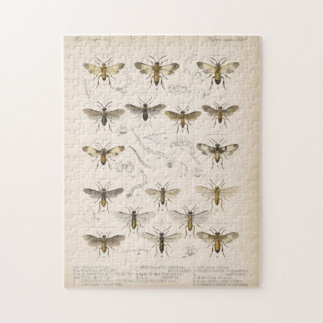 Puzzle Abejas y avispas de Cameron 1883-1890 (Vertical)