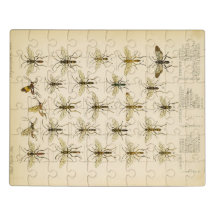 Abejas y avispas de Cameron 1883-1890