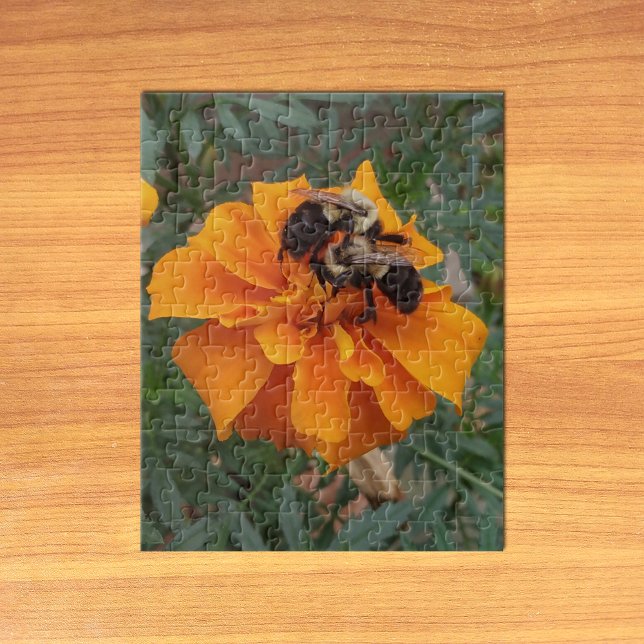 Puzzle Abejorro en Flor de Marigold (Bumblebees on Marigold Flower Jigsaw Puzzle on Table)