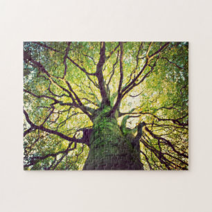 Puzzle Abrazo del árbol