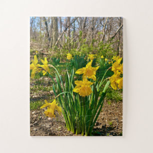 Puzzle Abrazo Dorado Flor de Narciso en Primavera