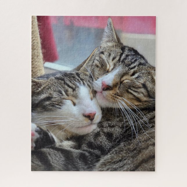 Puzzle ¡Abrazos de gatito! (Vertical)
