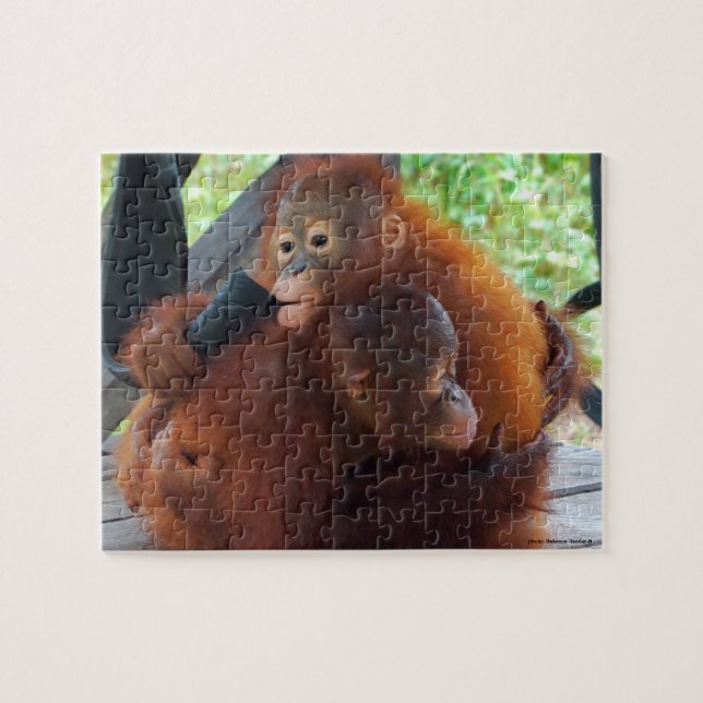 Puzzle Abrazos de la jungla de Orangutan (Horizontal)