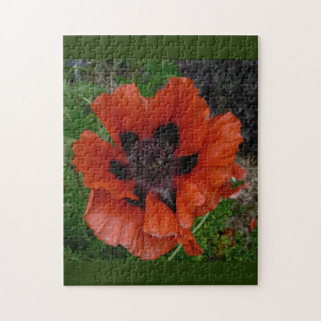 Puzzle Abrema oriental (Vertical)