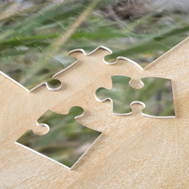 Puzzle Abrir Pods Milkweed | Semillas con seda | (Lado)