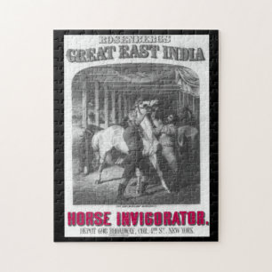 Puzzle Aceite de serpiente y viejos anuncios 11 rompecabe