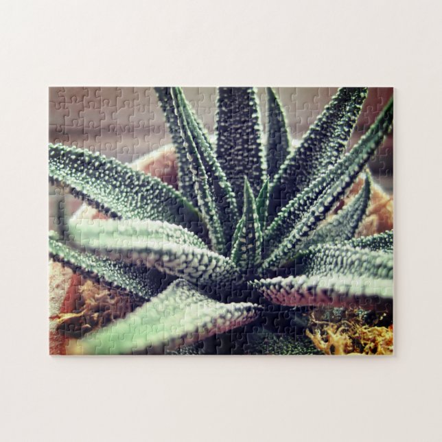 Puzzle Acercamiento de una planta de hogar exitosa que re (Horizontal)