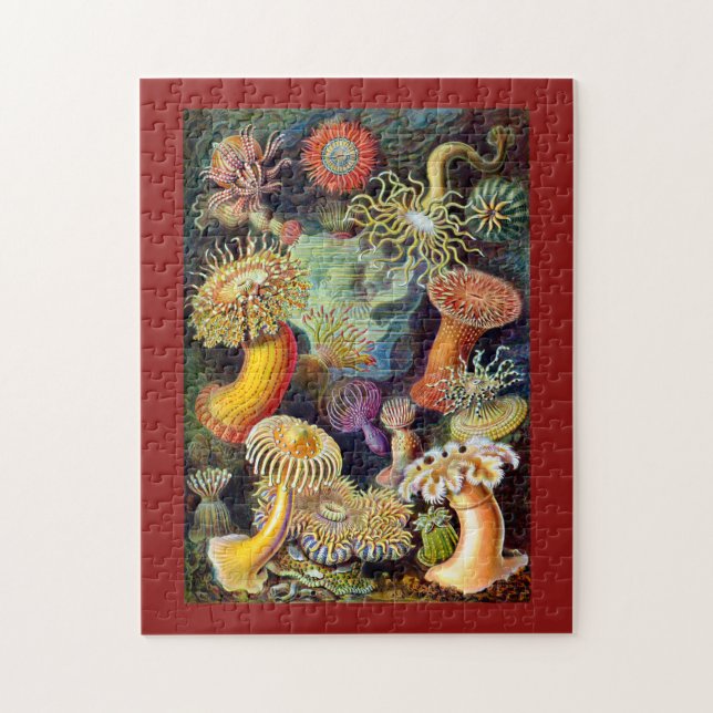 Puzzle Actiniae de Ernst Haeckel (Vertical)